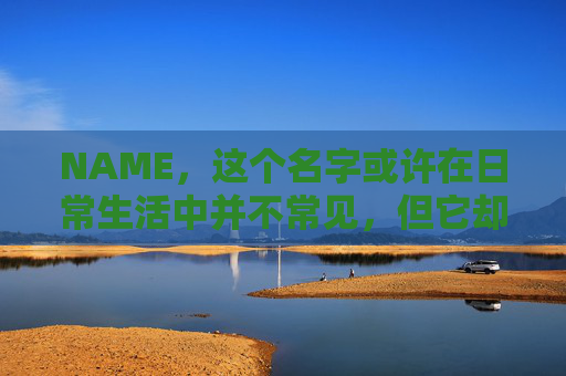 NAME，这个名字或许在日常生活中并不常见，但它却在某些领域里扮演着重要的角色。今天，让我们一起来探索这个名字背后的故事和意义